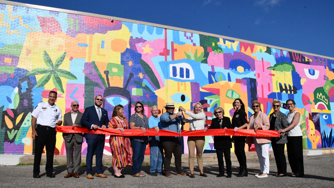 Magic Wonder Safari Mural