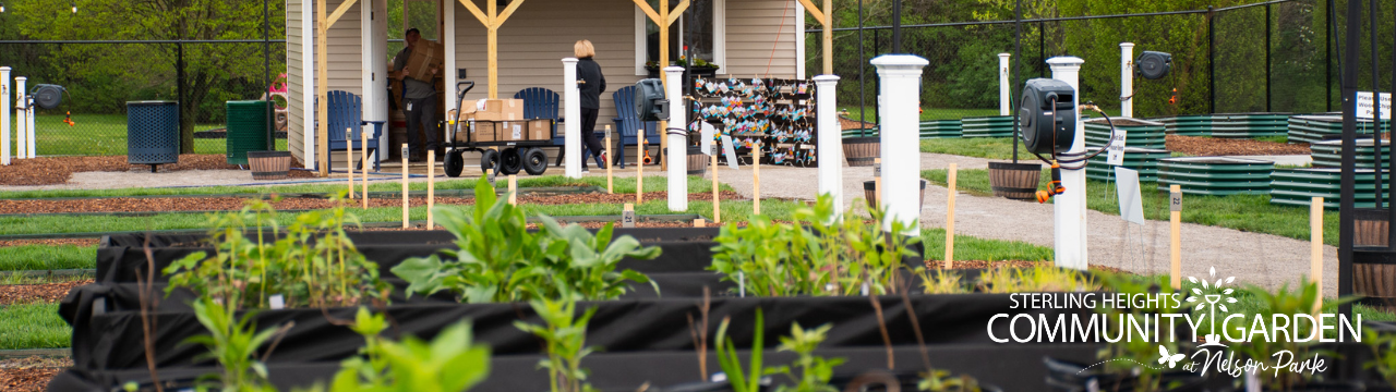 Main Community Garden
