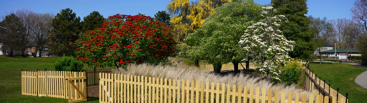 Community Garden Microforest Rendering 2025