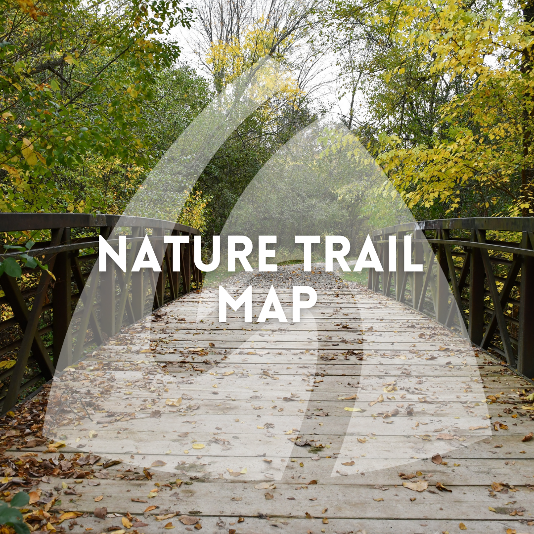Nature Trail